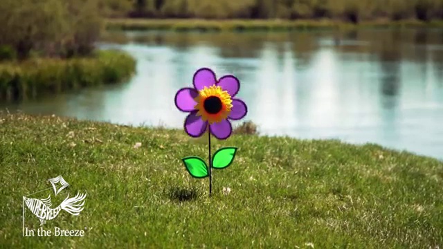 flower_ヴィンテージ Amazon.com: In the Breeze 2637 — 19-inch Rainbow Star Flower